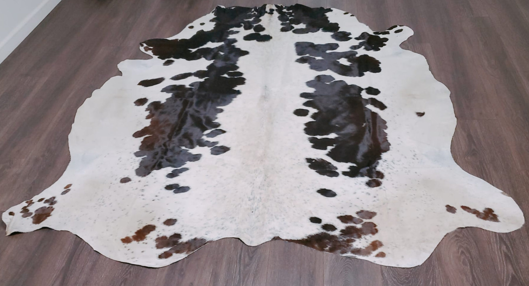 Premium Quality Real Tricolor Cowhide Rug Leather/ Cow Skin Area Rug Hair on Leather Hide 6 ft X 6 ft - 36 x 36 sq.ft Approx. (Tricolor 15)