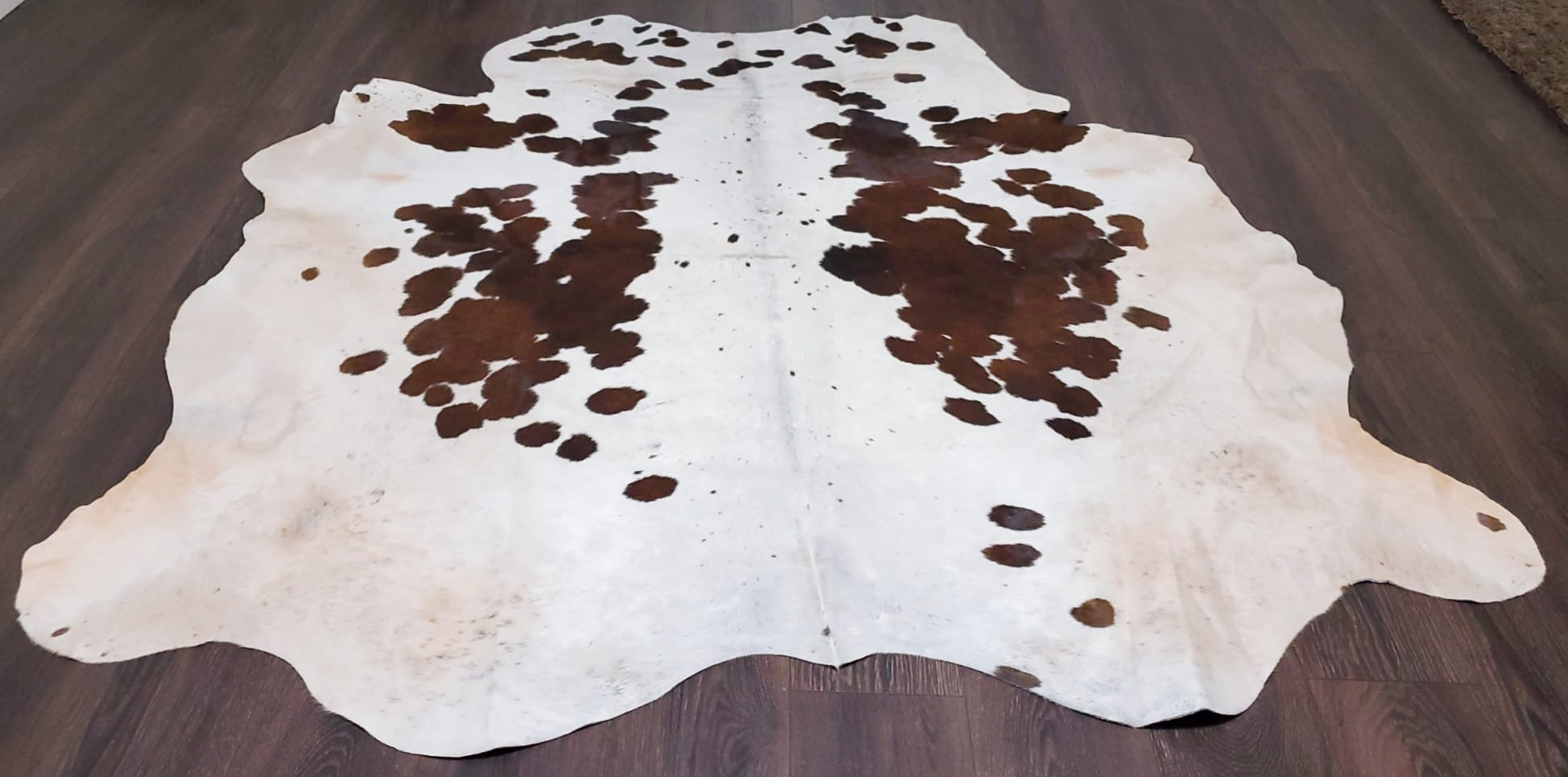 Premium Quality Real Tricolor Cowhide Rug Leather/ Cow Skin Area Rug Hair on Leather Hide 6 ft X 6 ft - 36 x 36 sq.ft Approx. (Tricolor 27)