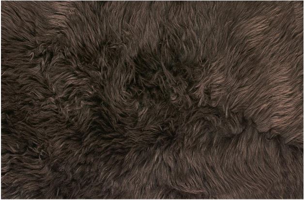 New Genuine Sheepskin Rug, Thick Soft Luxurious Wool, Fur Area, Fluffy Thick Carpet, Decorative Rug, Approximately 2x3 ft (Chocolate)