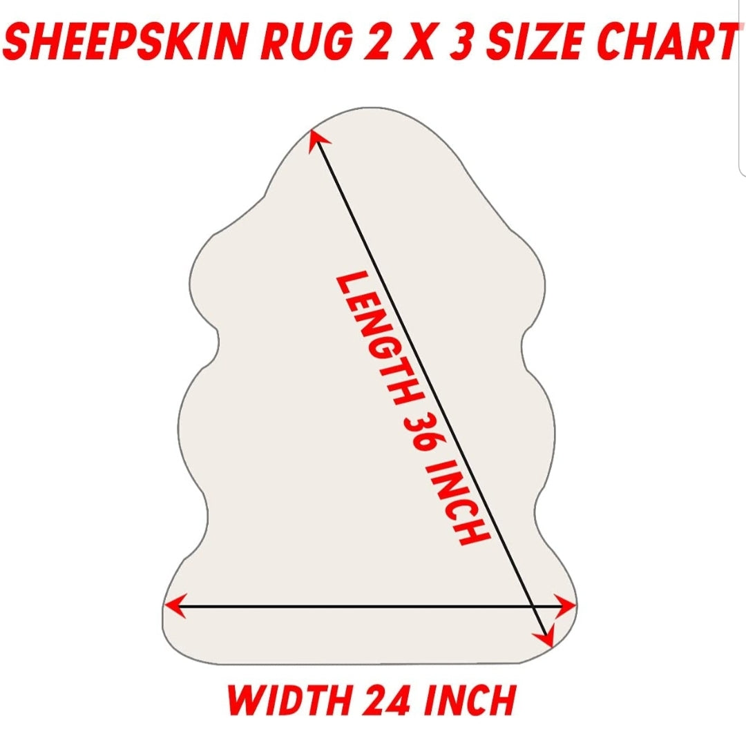 New Genuine Sheepskin Rug, Thick Soft Luxurious Wool, Fur Area, Fluffy Thick Carpet, Decorative Rug, Approximately 2x3 ft (Gray)