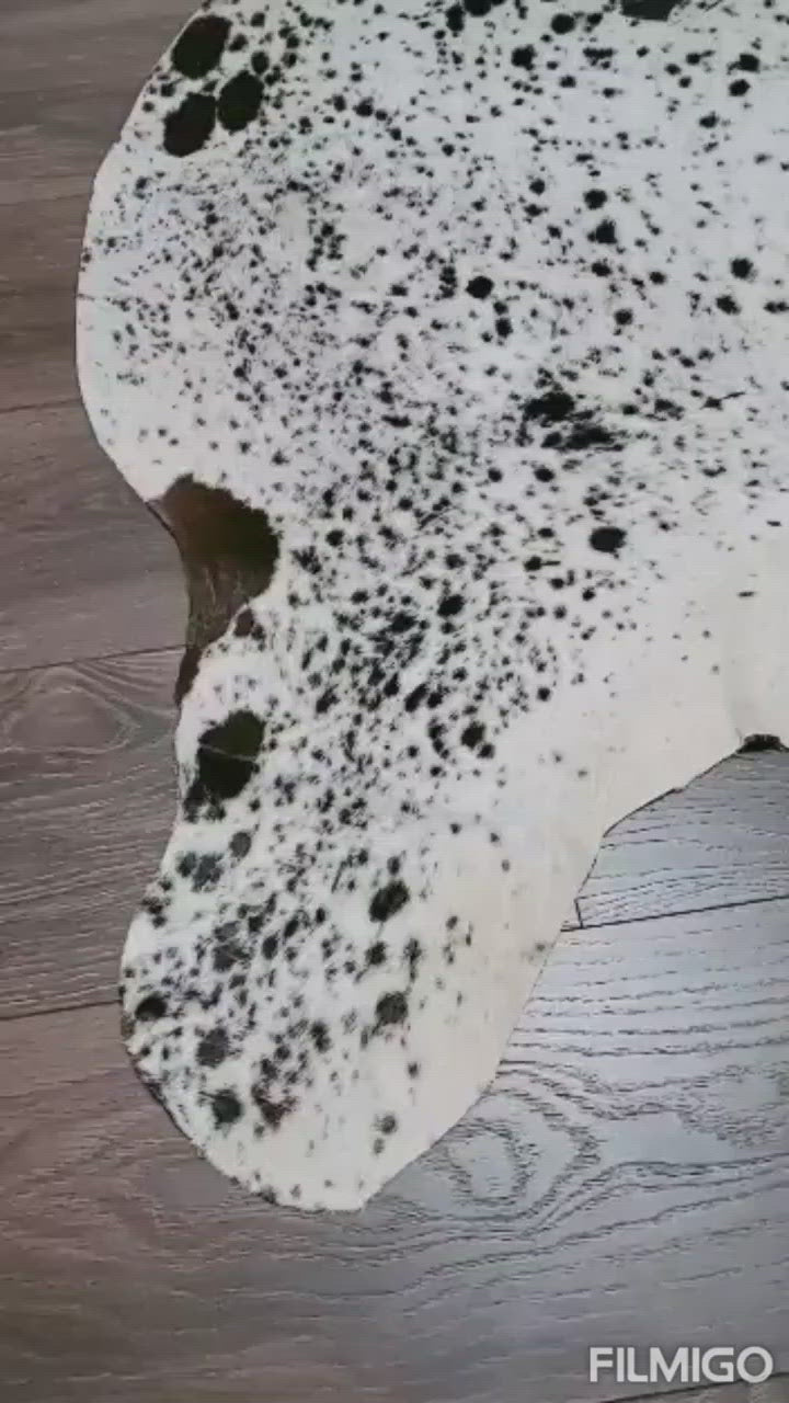 Premium Quality Real Tricolor Cowhide Rug Leather/ Cow Skin Area Rug Hair on Leather Hide 6 ft X 6 ft - 36 x 36 sq.ft Approx. (Tricolor 16)