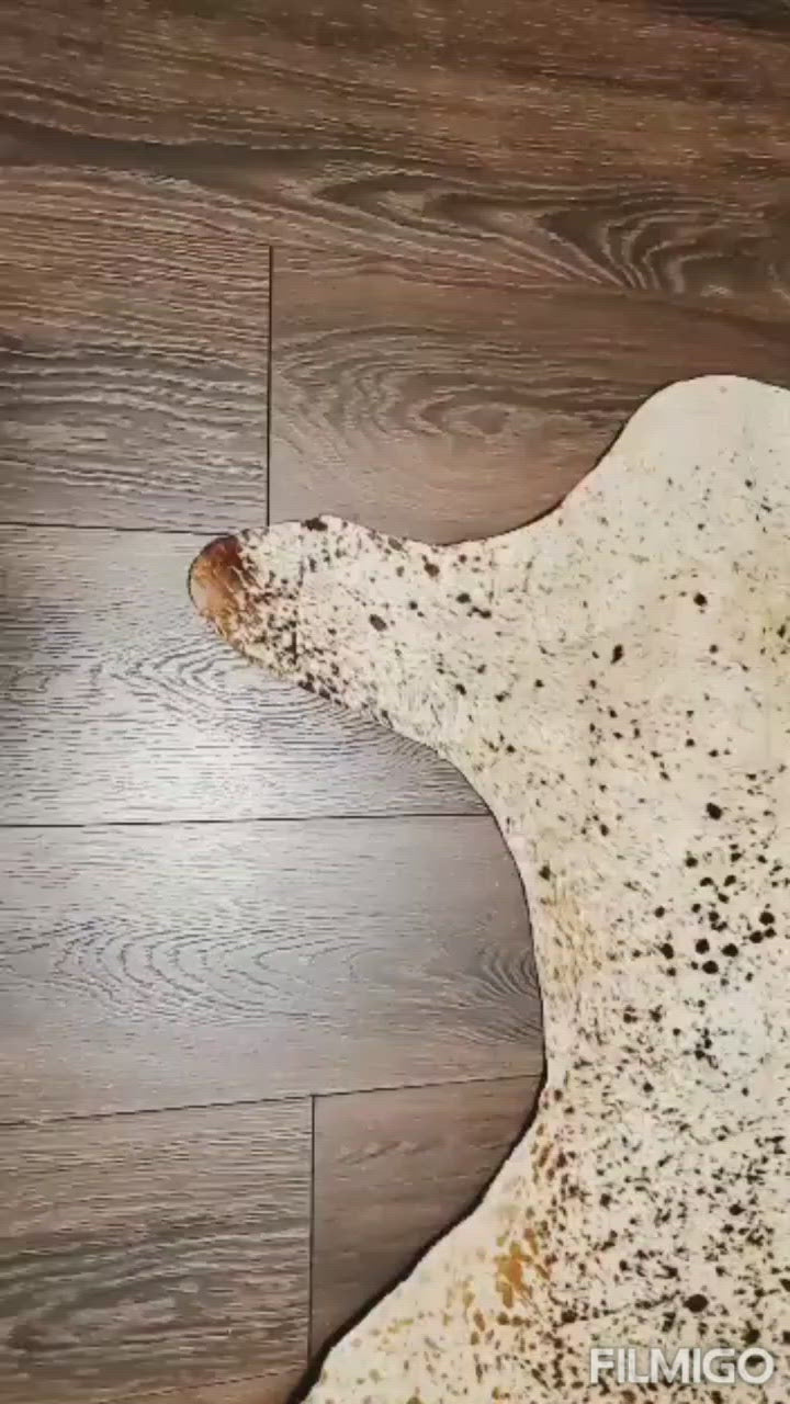 Real Tricolor Cow Skin Area Rug Hair on Leather Hide 6.5 ft X 6.5 ft - 45 x 45 sq.ft Approx. Multicolor Led Lights, Motion Sensor, USB & Battery Power Option