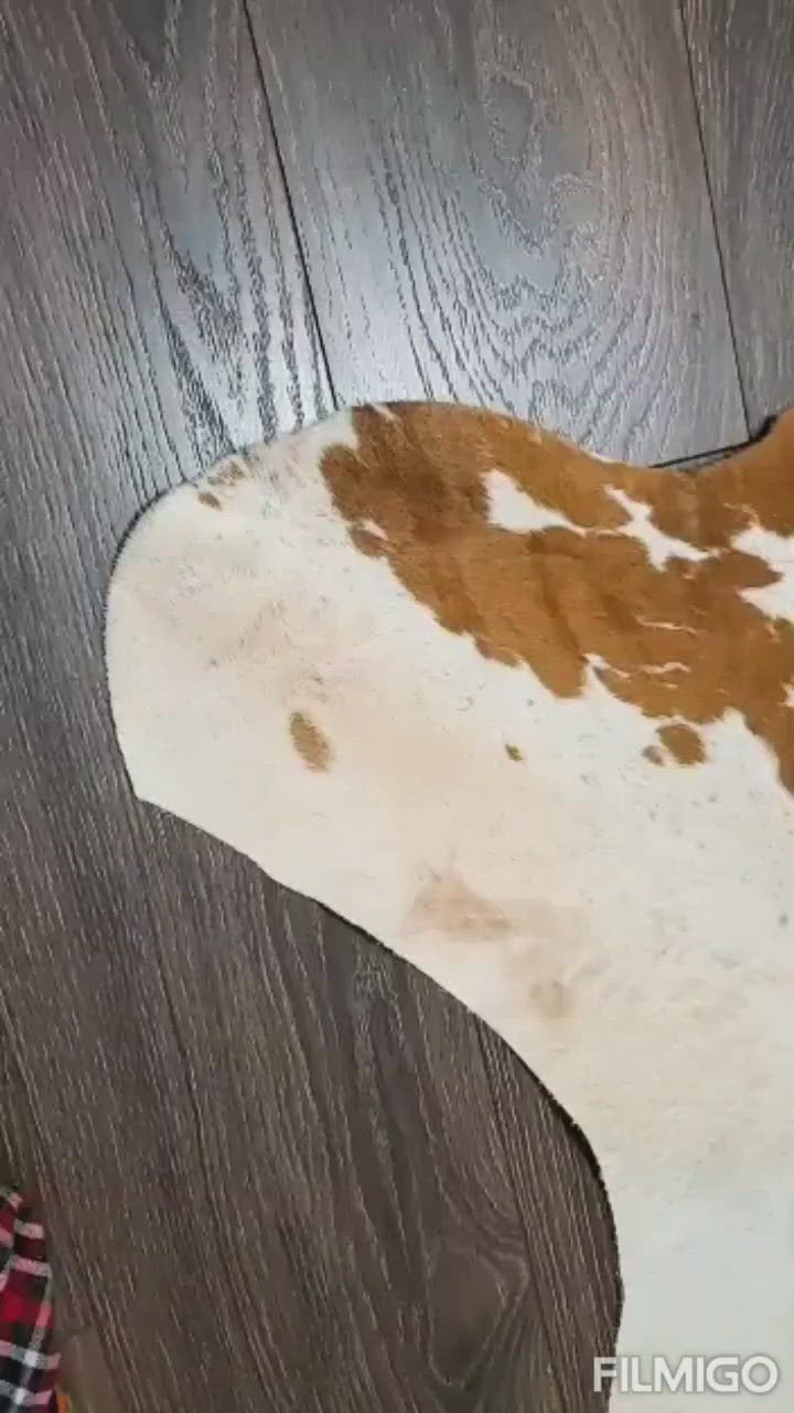 Premium Quality Real Tricolor Cowhide Rug Leather/ Cow Skin Area Rug Hair on Leather Hide 6 ft X 6 ft - 36 x 36 sq.ft Approx. (Tricolor 24)